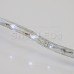 Дюралайт LED, свечение с динамикой (3W), 24 LED/м, белый, 6м