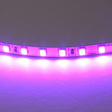 420518 Лента LIGHTSTAR LED 24V 12W 120leds/M 26-28 lm purple IP20 1шт = 5м